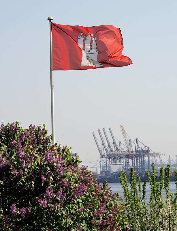 151_3044 Flagge Hamburgs im Garten von Oevelgönne - Containerkräne im Hamburger Hafen. | Oevelgoenne + Elbstrand.